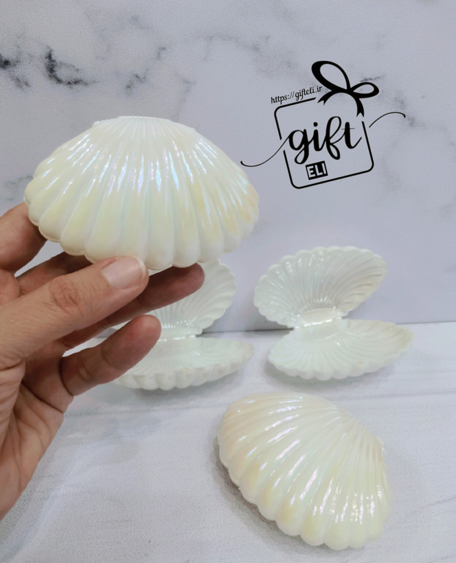 خرید صدف سفید گیفت سازی در فروشگاه اینترنتی گیفت الی